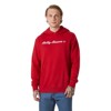 Sweatshirt helly hansen CORE GRAPHIC SWEAT HOODIE Red