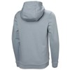 Mikina helly hansen GRAPHIC HOODIE Windy Blue