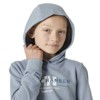 Mikina helly hansen GRAPHIC HOODIE Windy Blue