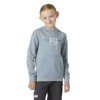 Pulóver helly hansen GRAPHIC HOODIE Windy Blue