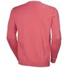 Trui helly hansen QUAYSIDE KNIT Red