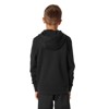 Sweatshirt helly hansen GRAPHIC HOODIE Black