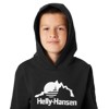 Sweatshirt helly hansen GRAPHIC HOODIE Black