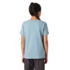 Camiseta helly hansen GRAPHIC T-SHIRT