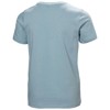 Camiseta helly hansen GRAPHIC T-SHIRT