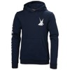Sweatshirt helly hansen GRAPHIC HOODIE Navy