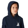 Sweatshirt helly hansen GRAPHIC HOODIE Navy