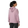Mikina helly hansen CORE GRAPHIC HOODIE Purple Clay