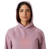 Mikina helly hansen CORE GRAPHIC HOODIE Purple Clay