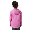 Mikina helly hansen GRAPHIC HOODIE Meta Pink
