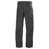 Pantalón helly hansen FOIL PANT 2.0 Grey Cactus EBONY