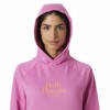 Mikina helly hansen CORE GRAPHIC HOODIE Meta Pink