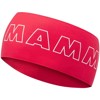 Braga mammut Aenergy