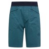 la sportiva Pants FLATANGER SHORT M 642643