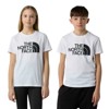  the north face TEEN EASY SS TEE New Taupe Green FN4
