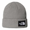 Hat the north face SALTY LINED BEANIE Smokey Brown DYX