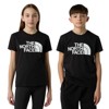  the north face TEEN EASY SS TEE New Taupe Green JK3
