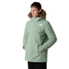 Jacke The North Face Zaneck Jkt Slate Moss
