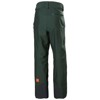 Pantalone helly hansen GARIBALDI 2.0 Dark Jungle