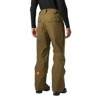 helly hansen Pants SOGN CARGO Sepia