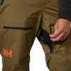 helly hansen Pants SOGN CARGO Sepia