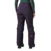 helly hansen Pants W SWITCH CARGO 2.0 Black Grape