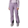 Housut columbia Bugaboo II Pant PURPLE