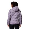 Chaqueta columbia Delta Ridge II Down Hooded