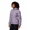 Chaqueta columbia Delta Ridge II Down Hooded