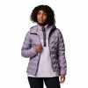 Chaqueta columbia Delta Ridge II Down Hooded