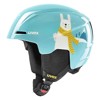Helm Uvex Viti Turquoise Rabbit Helm Uvex Viti Turquoise Rabbit