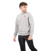 Sweatshirt fjällräven 1960 LOGO BADGE SWEATER M Grey-Melange