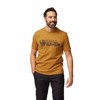 Marškinėliai fjällräven LUSH LOGO T-SHIRT M Acorn
