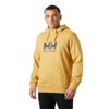 Pulóver helly hansen LOGO 3.0 Grey Melange SAND
