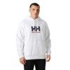 Pulóver helly hansen LOGO 3.0 Grey Melange WHITE