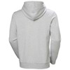 Pulóver helly hansen LOGO 3.0 Grey Melange