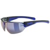 Óculos uvex Equate Black Blue / Blue
