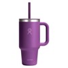Hydro Flask Thermos 32 Oz Travel Tumbler Jelly Purple