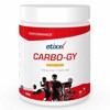 Iontový nápoj etixx CARBOGY 1000G