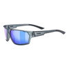Okulary Uvex Sportstyle 233
