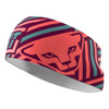 Briefs til Kvinder dynafit PERFORMANCE HEADBAND Nimbus/0910 6081