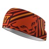Briefs til Kvinder dynafit PERFORMANCE HEADBAND Nimbus/0910 4493