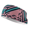 Briefs til Kvinder dynafit PERFORMANCE HEADBAND Nimbus/0910 6241