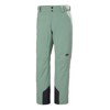  helly hansen Rapid Pant CACTUS