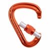 Moschettone beal Be Safe Screw Orange