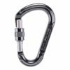 Karbinhake beal Be Lock Screw