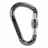 Karabína beal Be Lock Screw