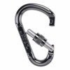 Karabína beal Be Lock Screw