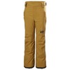 helly hansen  Legendary Pant Jr LYNX