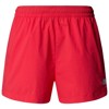 The North Face Pants Class V Pathfinder Pull On Short Hibis